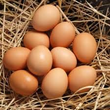eggs
